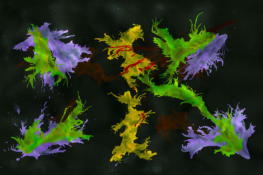 Iridescent Bacteria