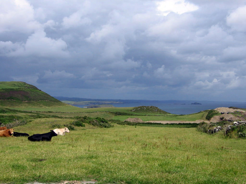 Irish Country Side